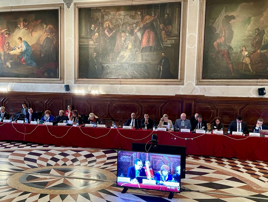 9.	“133ª Sesión Plenaria de la Comisión Europea para la Democracia por el Derecho”. Venecia, Italia, 16 y 17 de diciembre de 2022. 